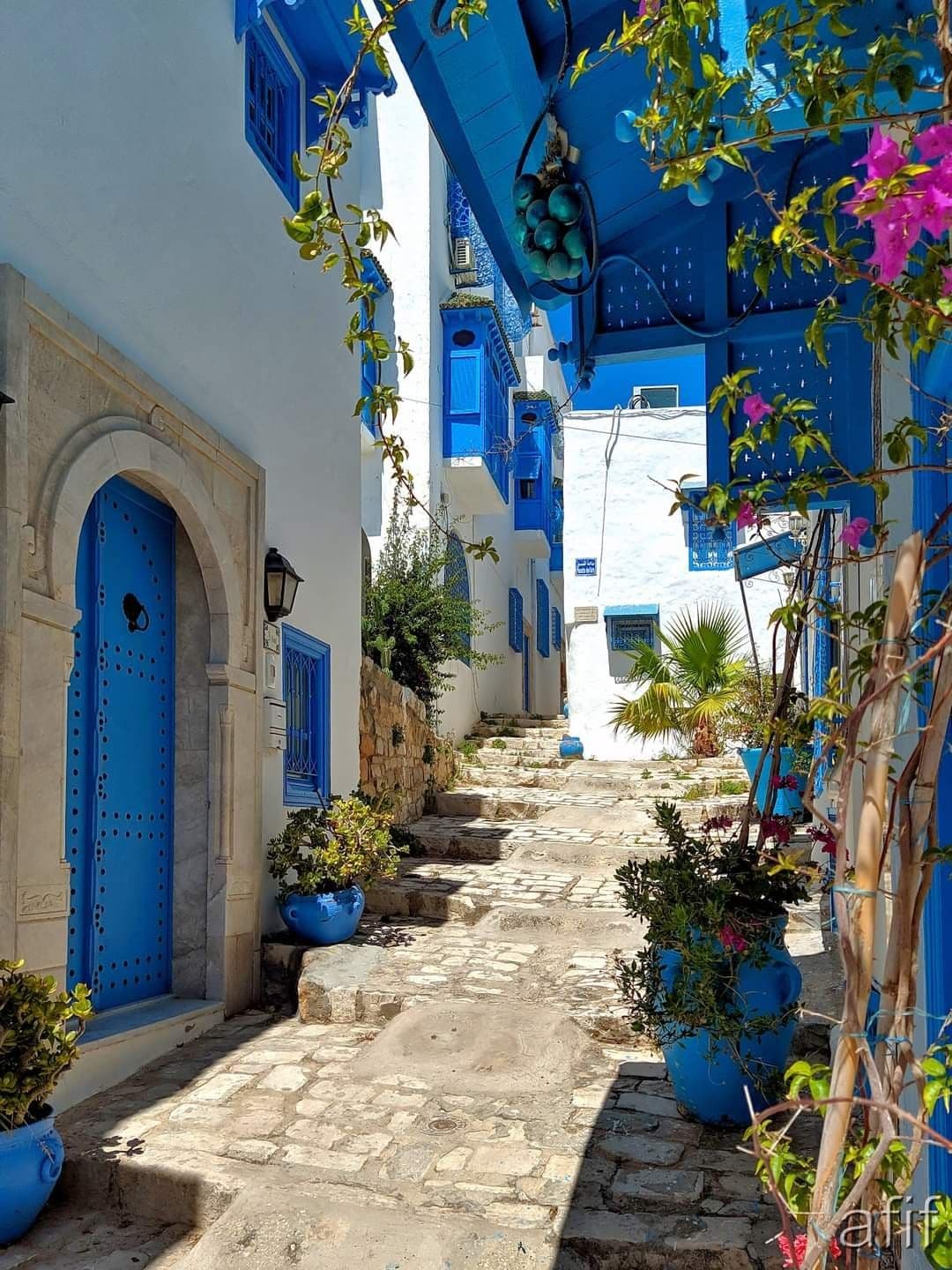 Tunis (paýtagt)